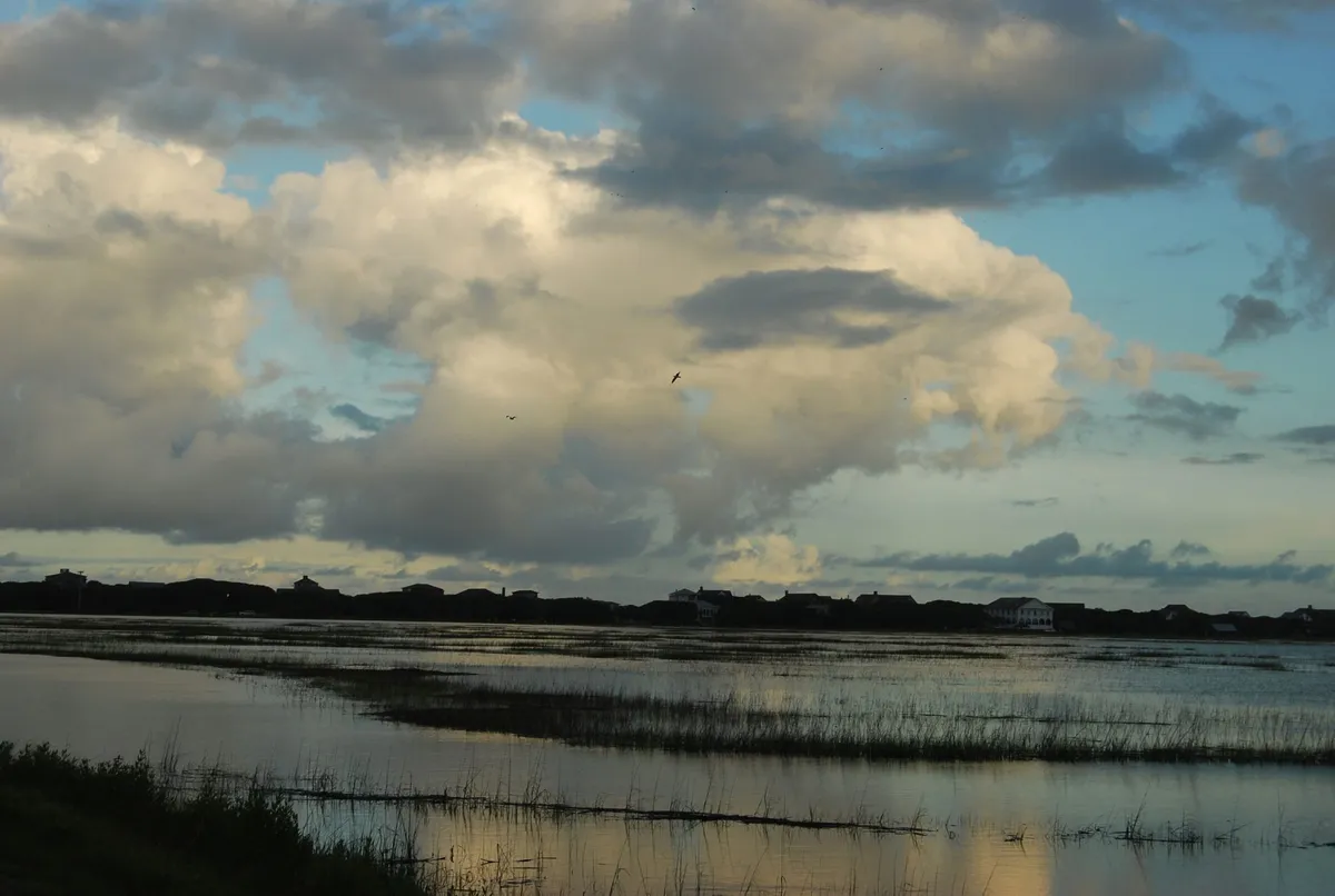 Pawleys High Tide