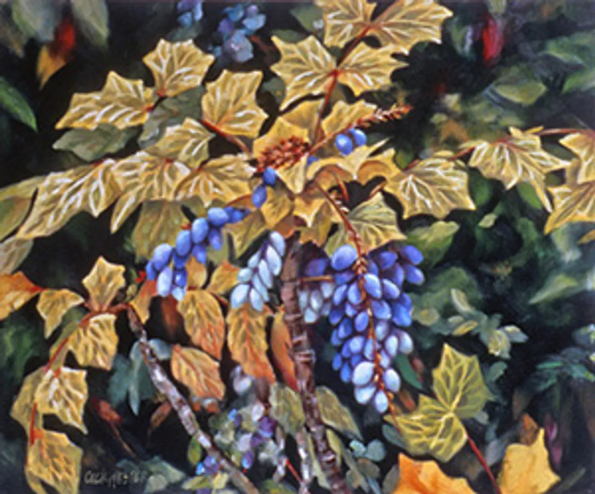 Oregon Grape Holly 2