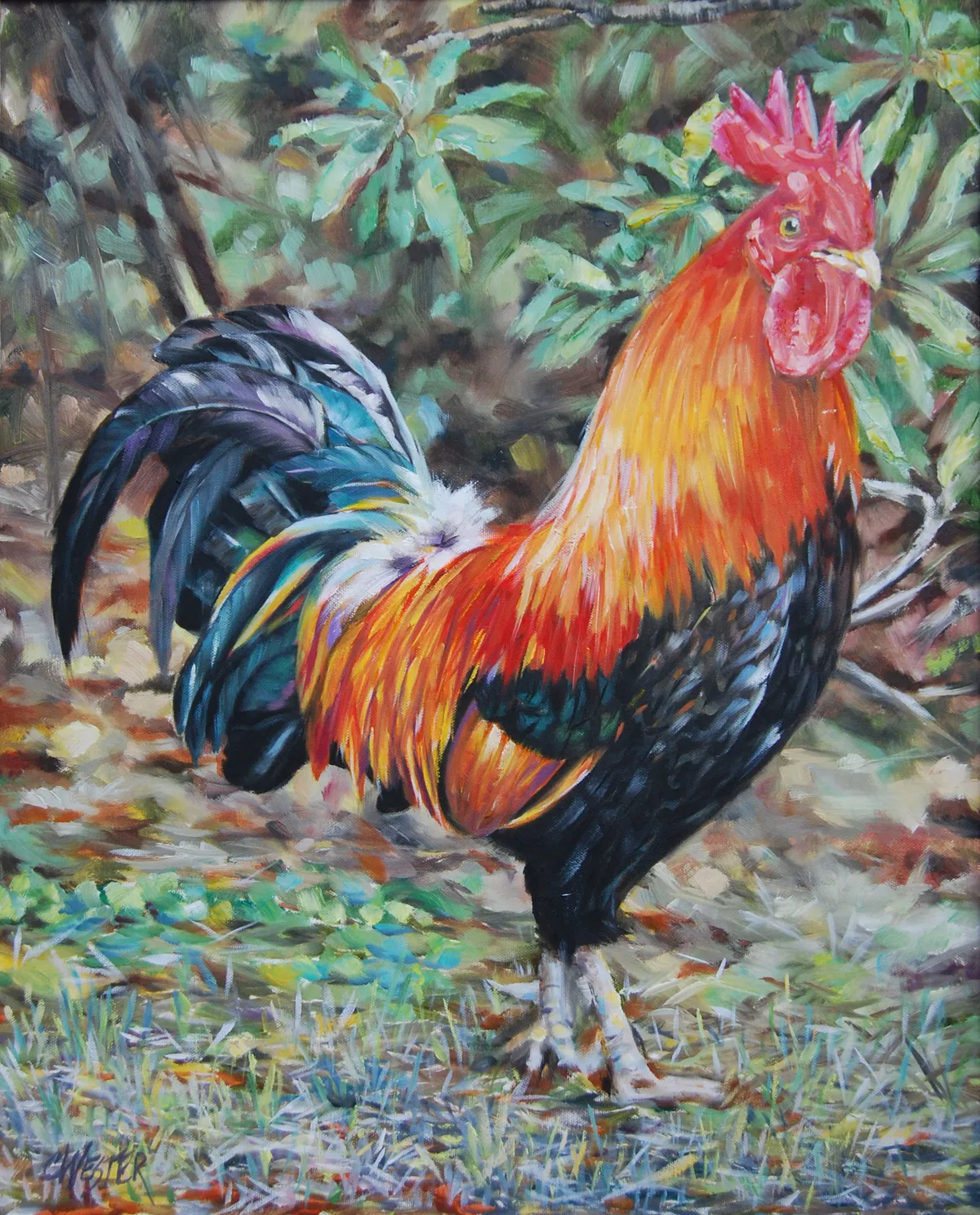 Georgetown Rooster