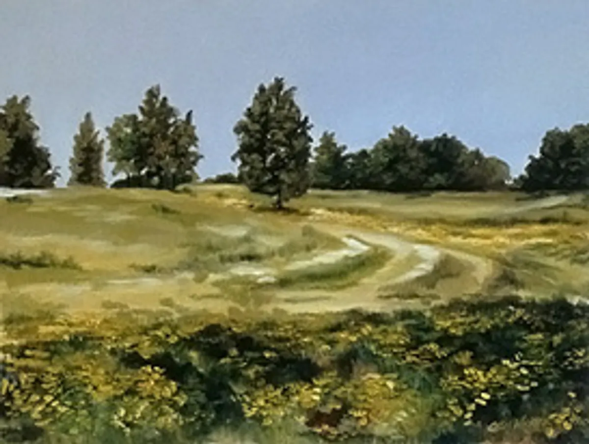Road in Country Field