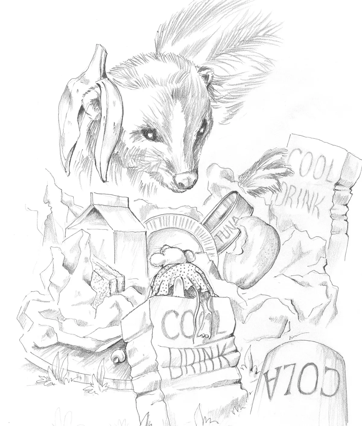 Food & Book Illustration Sketch