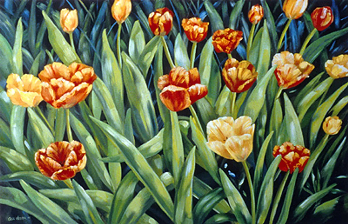 Country Tulips