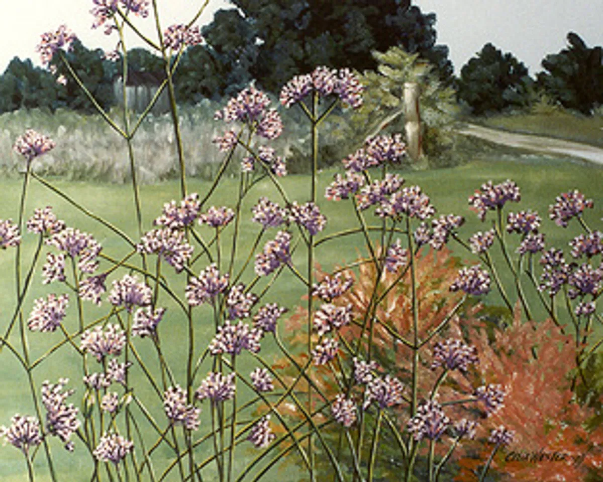 Purple Flowers